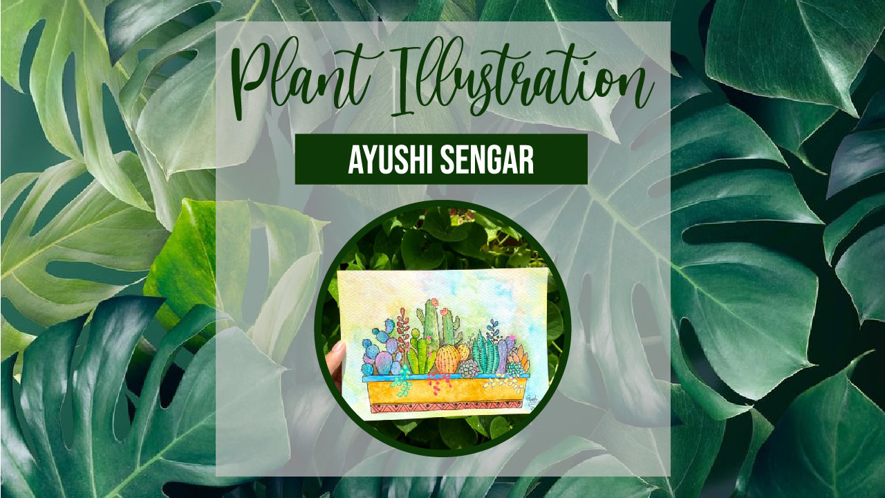 Plant Illustration Workshop