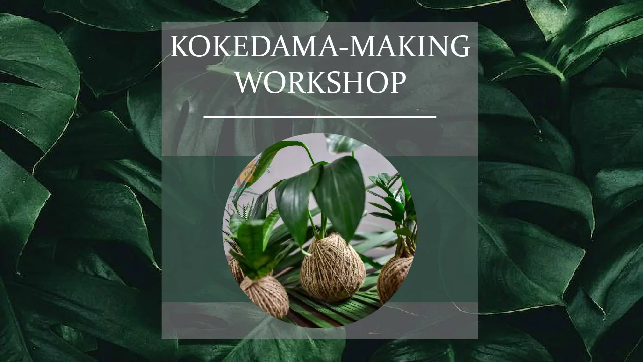 Kokedama Making Workshop