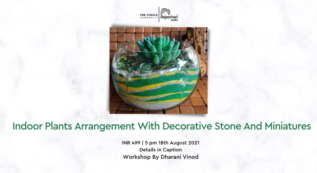Indoor plants arrangement with decorative stones with Dharani Vinod:-