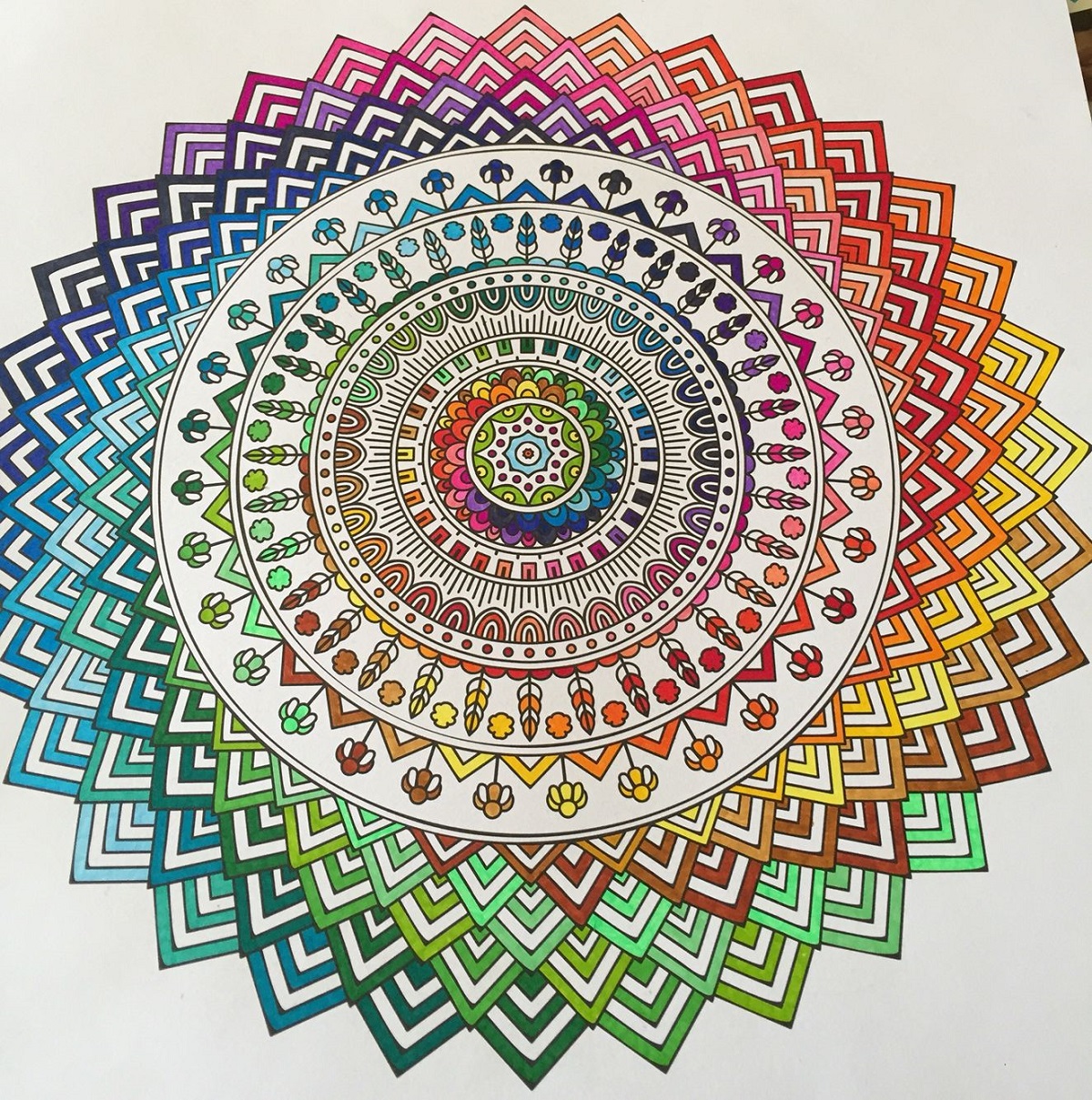 Rainbow colour Mandala with Subhasmita Sahoo