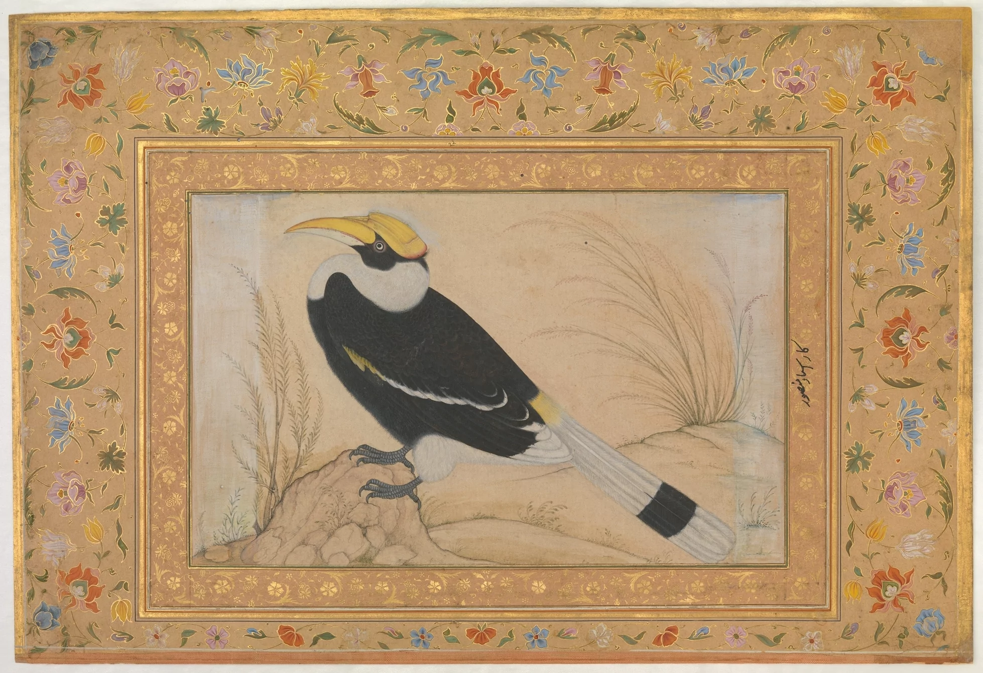 Naturalistic Influence on Mughal Miniature Painting